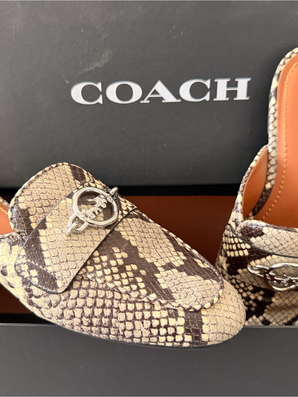 Coach Women's Snake-Print Mules In Beige And Brown